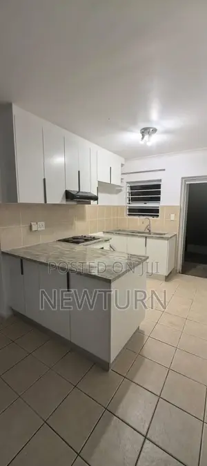 Standard High Gloss HDF Kitchen Cabinets.