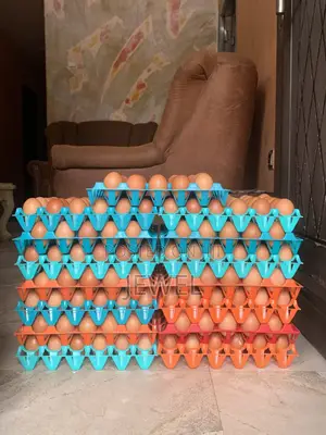 Fresh Farm Eggs For Sale In Enugu | Bulk Single Crates