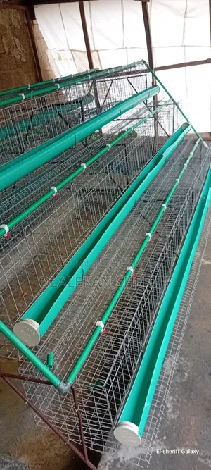 Poultry Cage