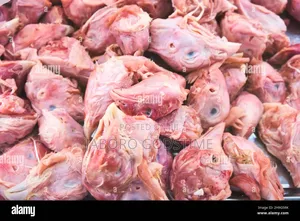 Dog Protein ( Chicken Head )