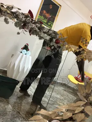 Professional Cleaning Service in Abuja