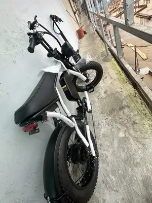 Electric Bike