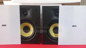 Tundra Inwall/Ceiling Cinema Speakers