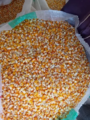 Farms Produce