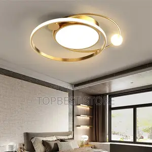 Modern Ceiling Fitting