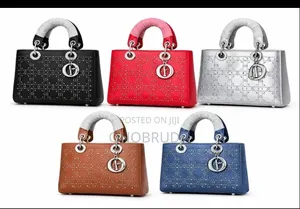 Stoned Dior Bag