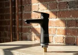 Elite Black Single Bathroom Faucet