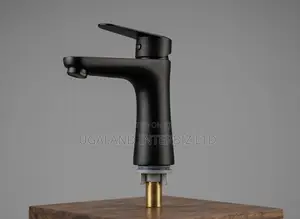 Modern Mounted Water Tap