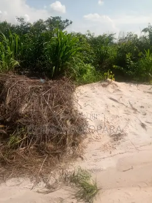Prime Plot of Land for Sale – Umuijem, Avu–Obinze Old Road, Owerri Imo