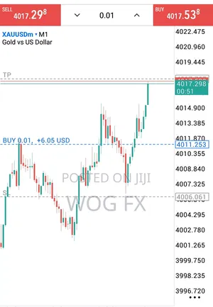 Copy My Trade Decision And Make Money For Your Self