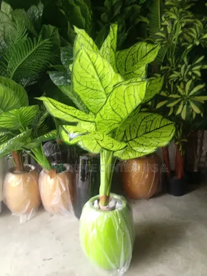Planter and Plant