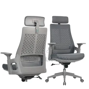 Executive Comfort Redefined High-Back Premium Off3 Chair (Gray)