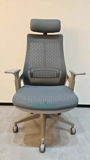 Executive Comfort Redefined High-Back Premium Off3 Chair (Gray)