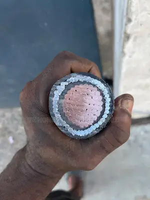 300mm by 1core Armored Cable