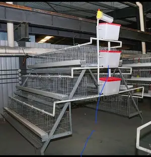 120 Birds Capacity Cage Hot Deep Galvanized Imported