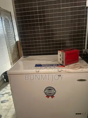 319 Thermocool Freezer, Stabiliser and Freezer Stand (400,000 for All)
