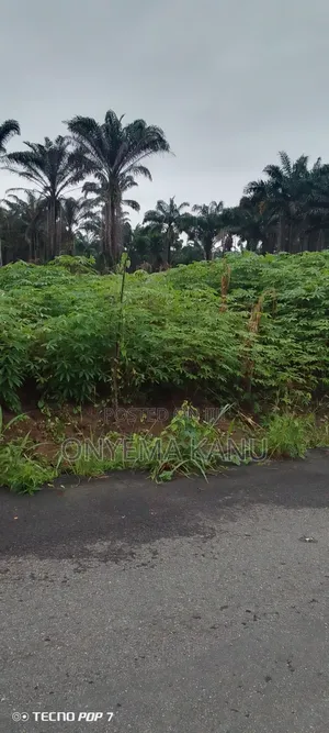 100 Plots Near Express for a Ready Buyer.