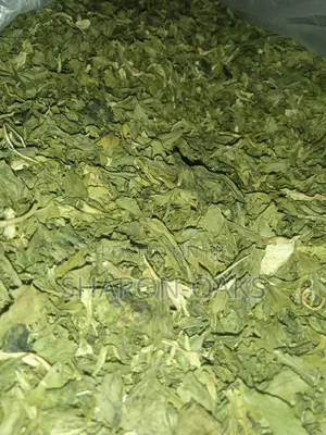 Celery Leaves 100g