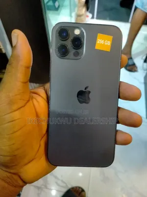Apple iPhone 12 Pro 256 GB Gray