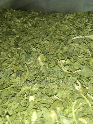 Celery Leaves 1kg