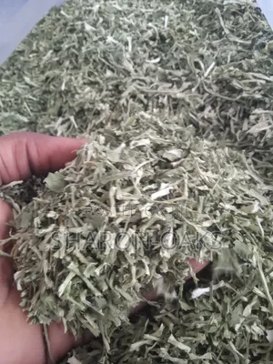 Cilantro Leave 1kg