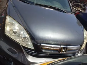 Honda CR-V 2010 Gray