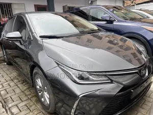 Toyota Corolla LE 2020 Gray