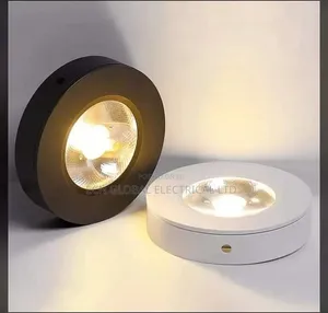 Slim Parapet Led Light (Black White Body)