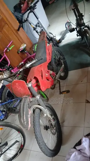 Red Motocross-Style MTB