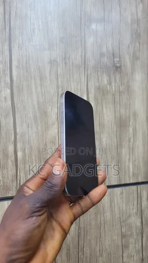 Apple iPhone 16 Pro 256 GB Gray