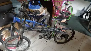 Used Blue Kids Bicycle 20"