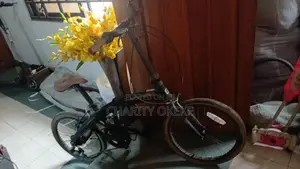 Used Black Folding Kids/Adults Bicycle 20"