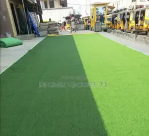 Balcony Grass Nigeria, Carpet Grass Lagos