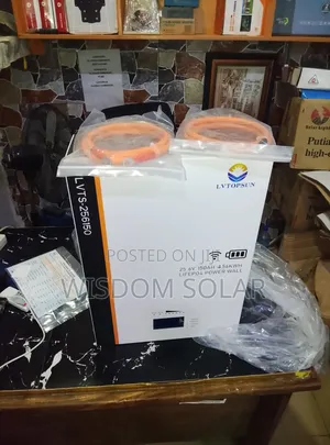 Lvtopsun 4.5kwh Lithium Battery 24v