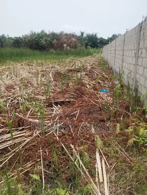 600sqm Plot of Land for Sale at Awoyaya(3 Minutes From Uba Supermarket)