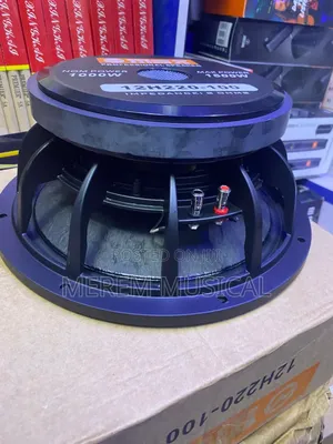 Omax 12 Inches Speaker