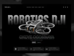 Website Design