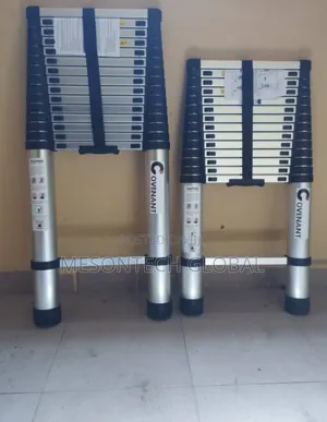 3.8m Telescopic Ladder