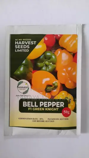 Bell Pepper, Green Knight F1
