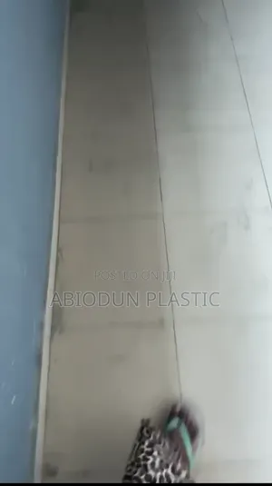 House Cleaning and Home Cleaning Toilet Wash and Other Work