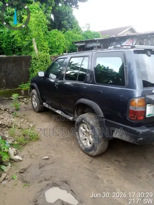 Nissan Pathfinder 1996 Blue