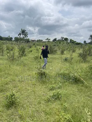 Land for Sale After Moniya