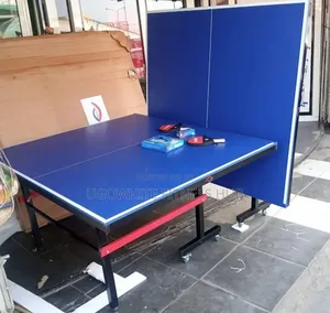 Blue Outdoor Table Tennis Board