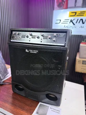 Lead Guitar Combo and Keyboard Amplifier