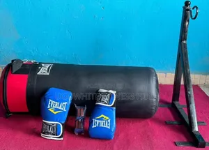 Standard Everlast Heavy Punching Bag and Blue Everlast Boxing Gloves