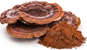 Red Reishi Mushroom Extract Powder (Garnoderma Lucidium) 50:1- 25grams