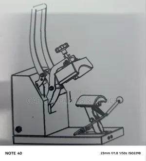 Cap Transfer Machine