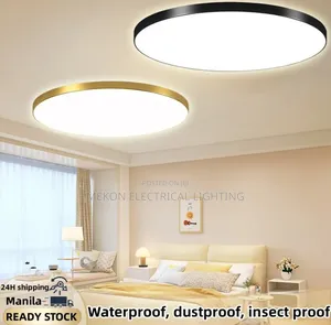 Slim Ceiling Led Light