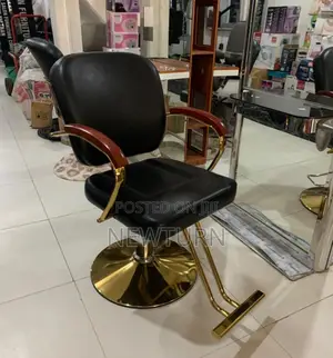 Best Quality Of Saloon Chair With Legs Rest.
