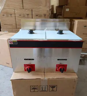 Commercial Gas Fryer
